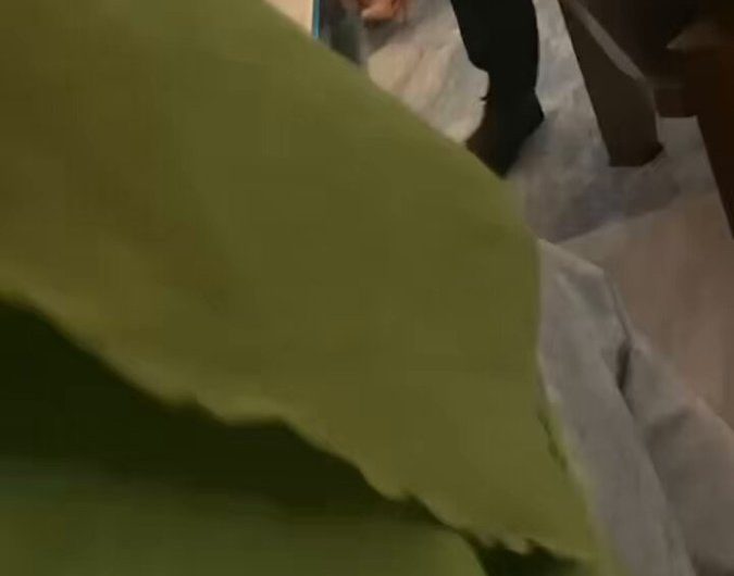 这骚逼内裤就是让你扒了操的