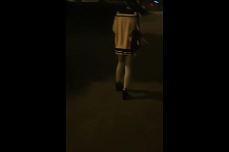 主人的“小玩具”