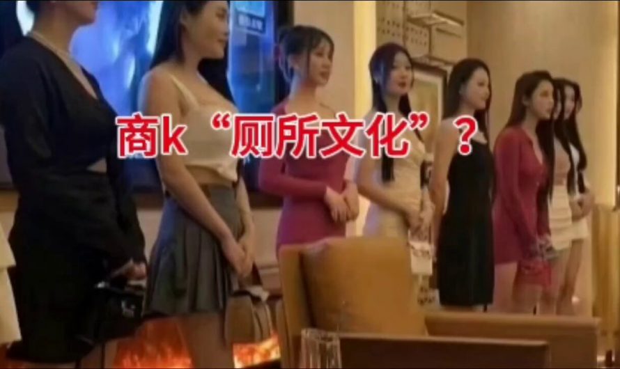 商k“厕所文化”什么意思？