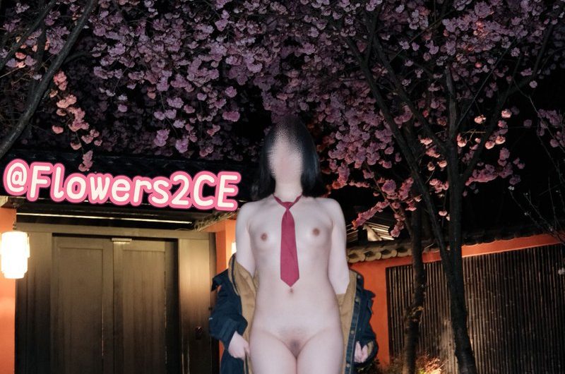RT : 先看下樱花，等下主包发炮机第二段（🤪