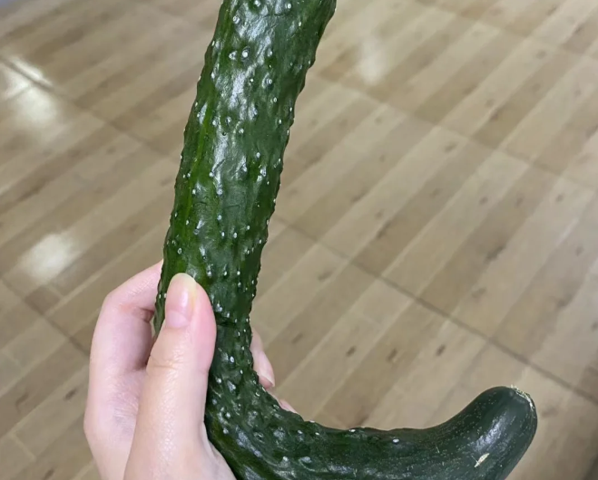 这个看起来像什么呢，谁能告诉我下呢😆