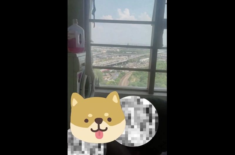 RT : 主人看着窗外的风景喝着茶，贱狗给主人做足底按摩，惬意啊哈哈哈 @