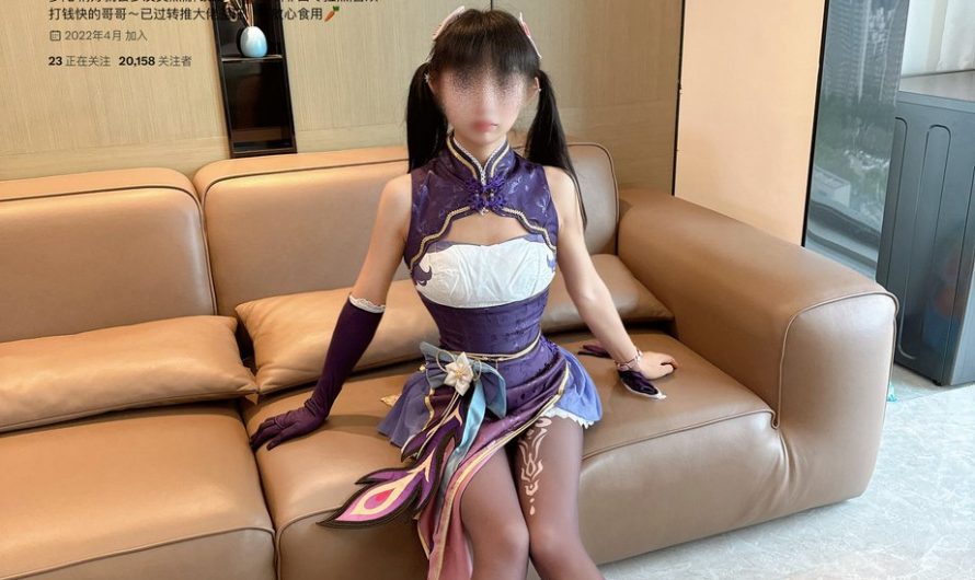 限定版双马尾 ˶╹ꇴ╹˶