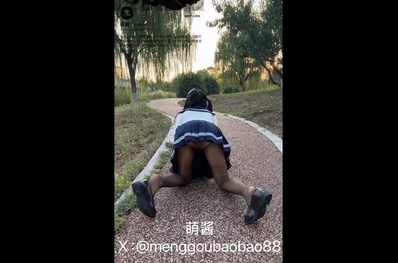 小狗日记.