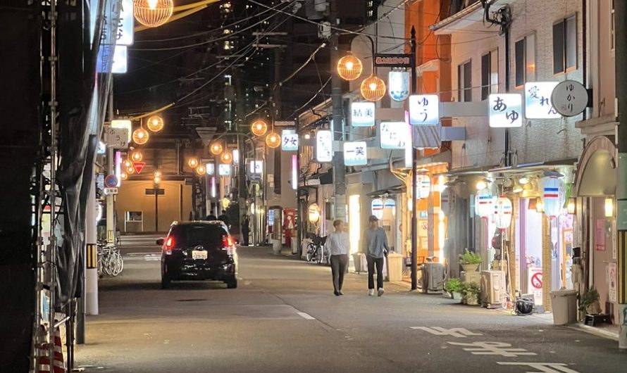今日分享日本风俗店玩法，其中大阪的飞田、松岛新地最为出名，即日本官方默认的合法卖淫区域，一般由数十条小巷组成，每间店铺坐着老阿姨和一至多个卖淫女，老阿姨负责揽客…