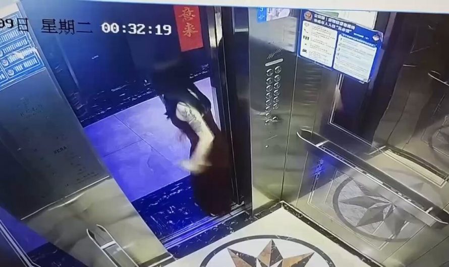 电梯关门之前，我都是爱你的🥳 wataa