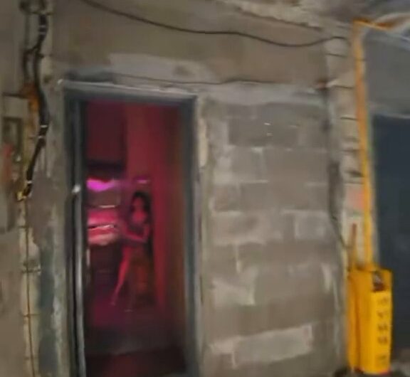 深圳岗厦村，站姐儿还是这么热情，价格也合适。