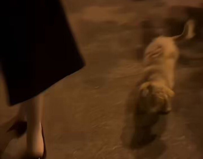 再发一段. 额，在乖乖Q里的粉丝应该都看过了 最近太冷了，过几天再更新. 继续在粉丝群里玩定制露出！