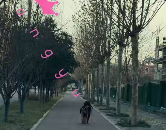 07K9小狗(第六期）路边发现一只露出的母狗，没办法只好带她去露出。 投稿✉️：