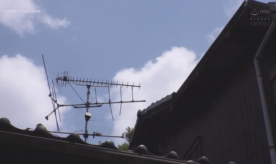 PPPD-971 | Tomoko Kamisaka